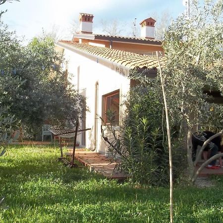 Villa Ambrosia Muggia Ngoại thất bức ảnh