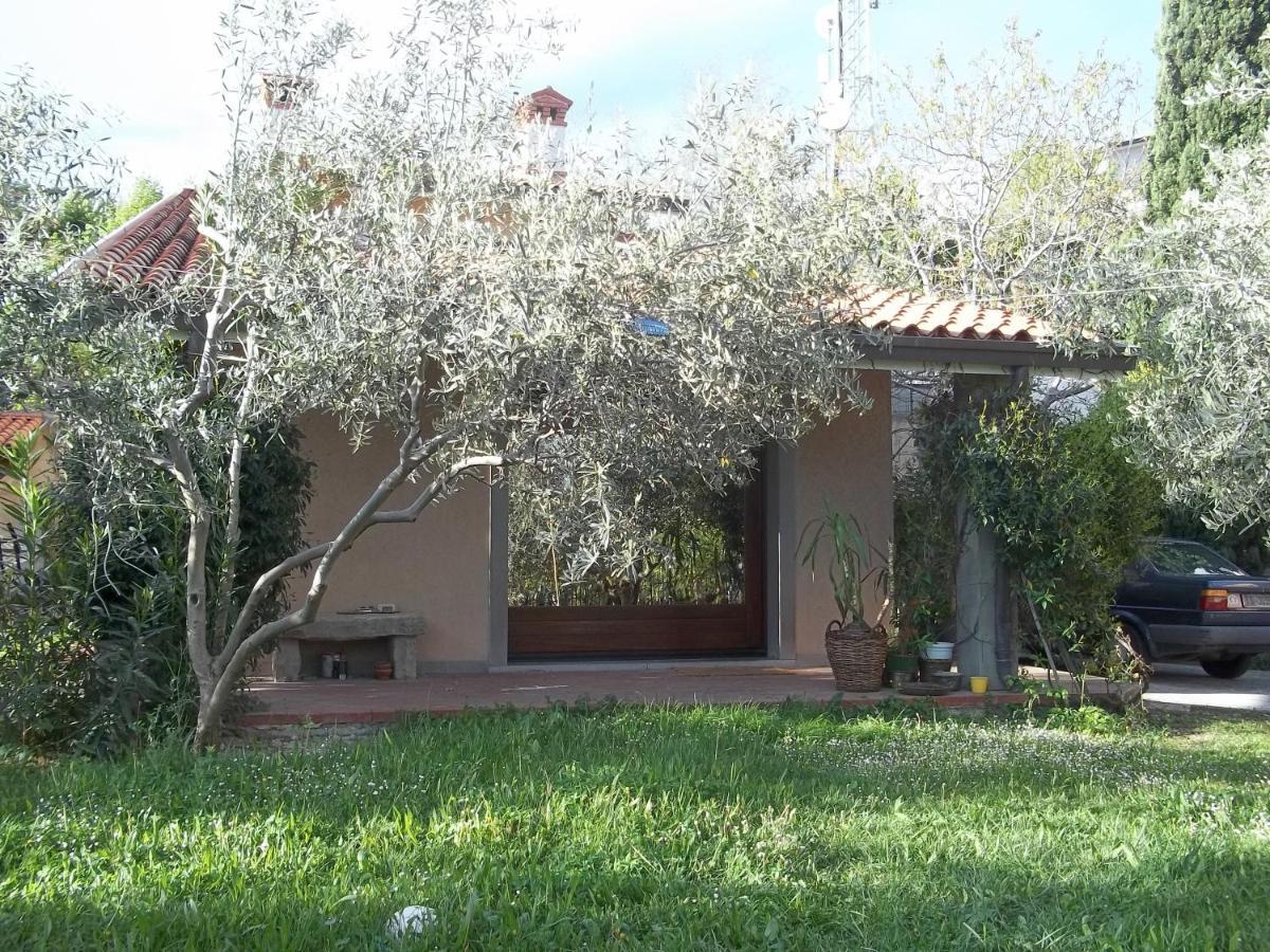 Villa Ambrosia Muggia Ngoại thất bức ảnh