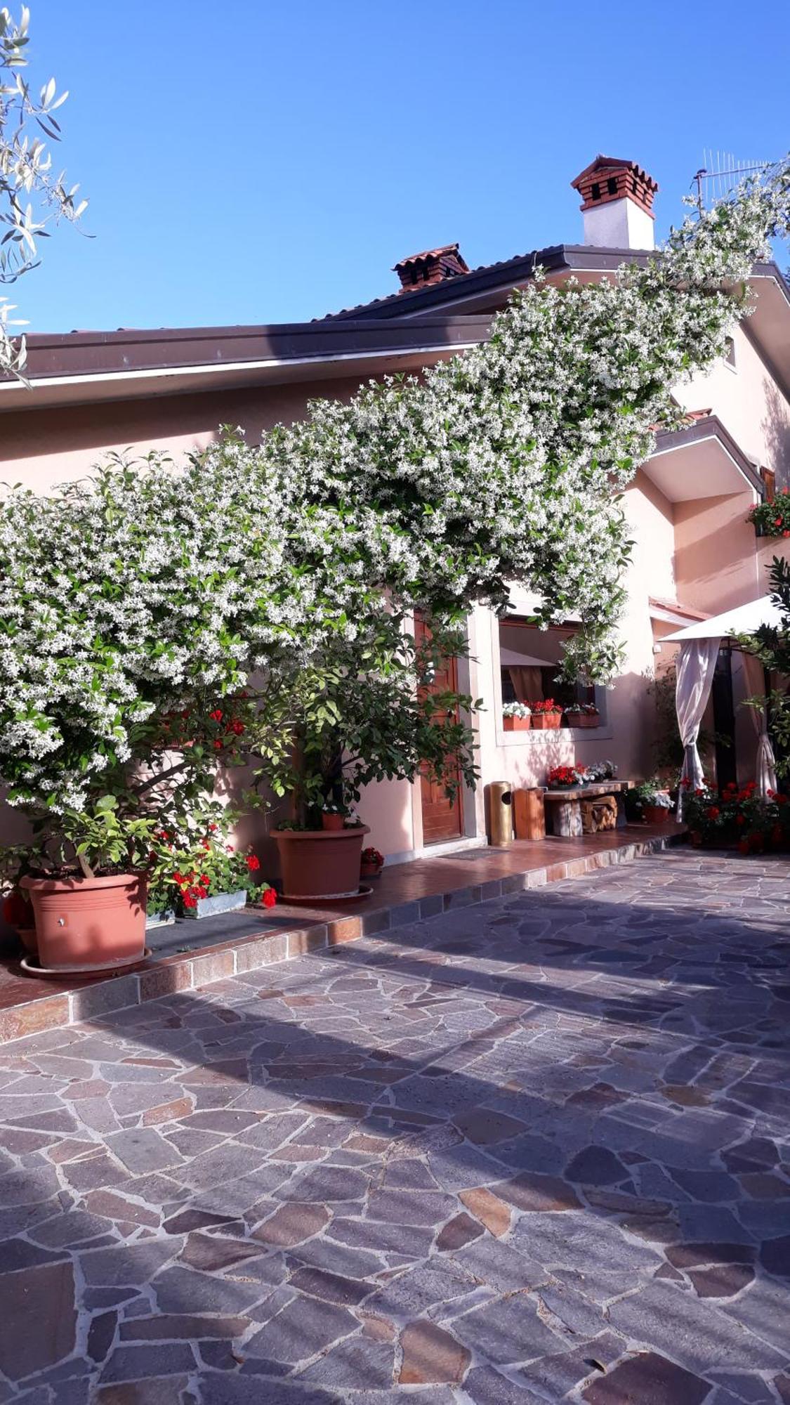 Villa Ambrosia Muggia Ngoại thất bức ảnh